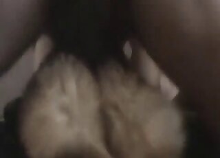 Canine sniffs and licks my butt rack on cam