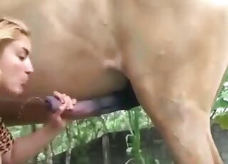 Horse Porn Sperm