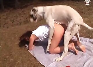 White dog aggressively fucking a tight mature hole