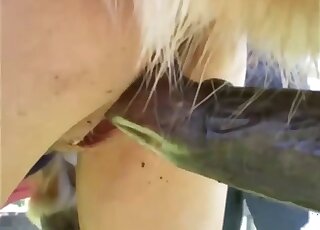 Ginormous penis ruins that tight hole