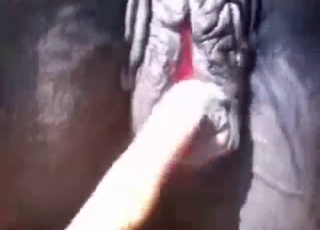 Mare's cunt is going to get fingered real hard