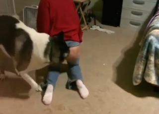 Sexy wife with a firm ass gets to screw a dog