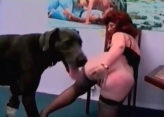 Dripping pussy licked by a kinky black dog