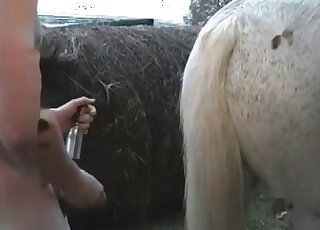 Awesome dude rims a horse on cam