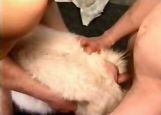 Two men are enjoying intensive bestiality XXX - 犬 アニマルxxx 