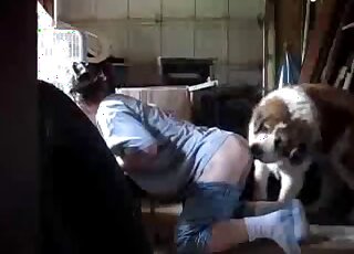 Aesthetic dog bestiality porn with a sensual animal