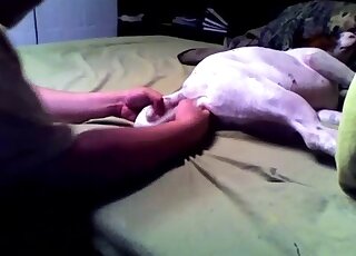 Aesthetic doggy sex play with a gorgeous male