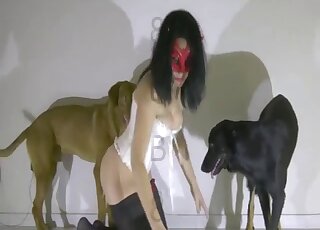 Two beautiful dogs are enjoying bestiality XXX