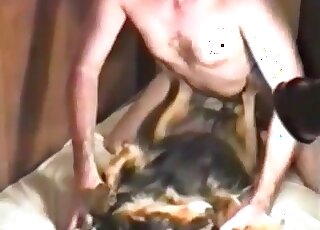 Dude fucking that dog pussy in animal sex videos  