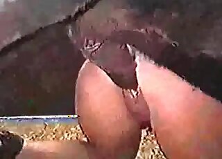 Crazy pony getting wild in this zoofilia video