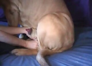 Pleasuring sexy dog nuts while teasing the beast